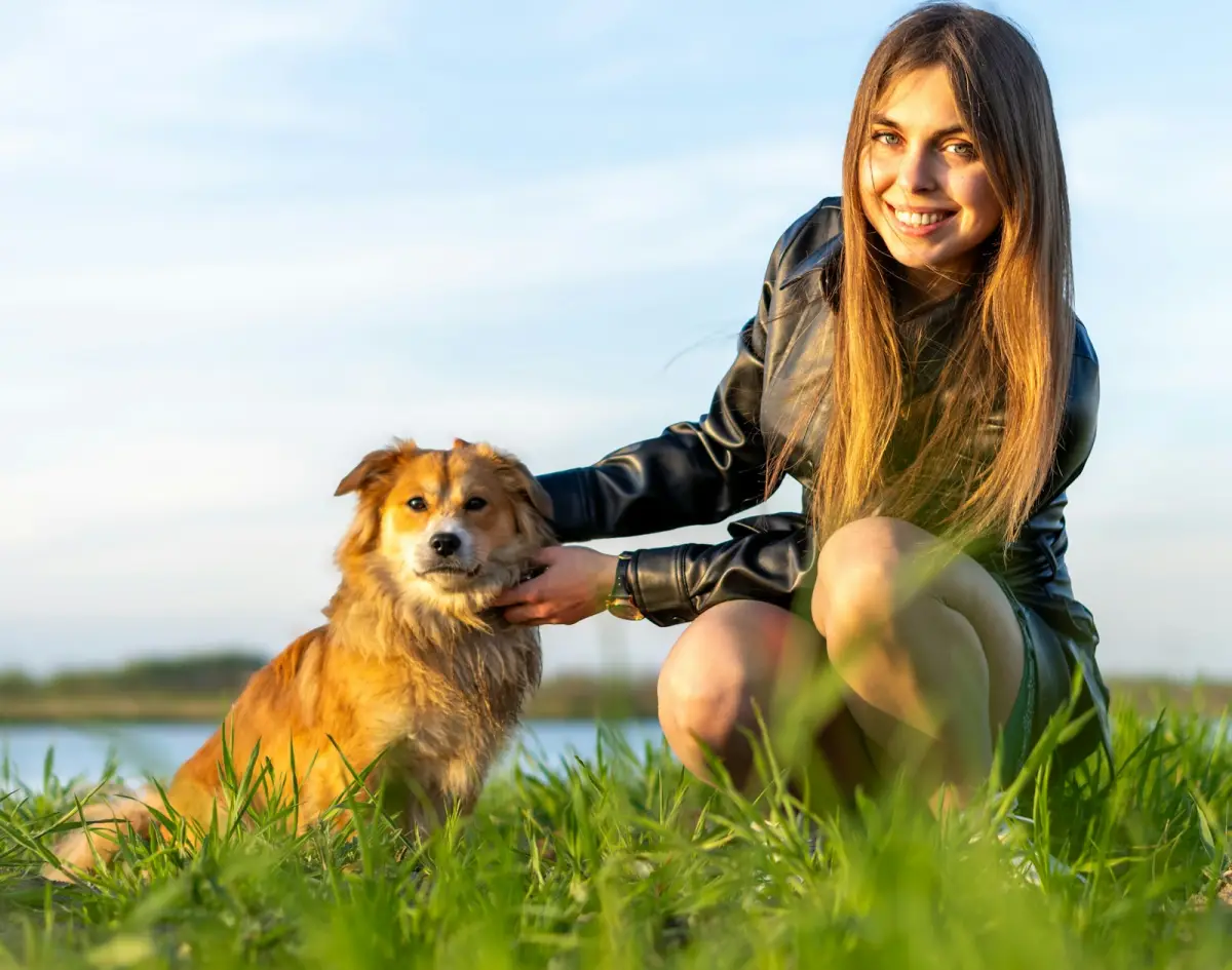 a large brown dog sitting on top of a lush green field