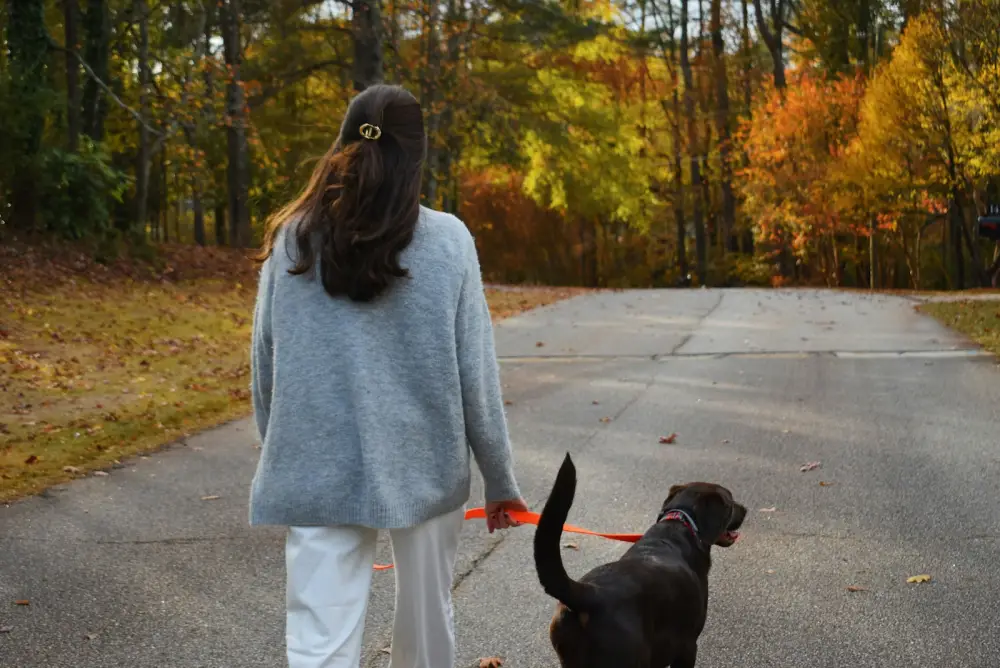 Woman walks her dog in autumn.
