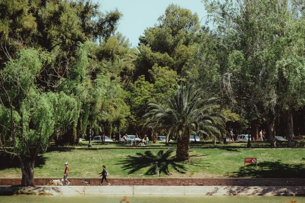 People walking in a lush green park with trees.