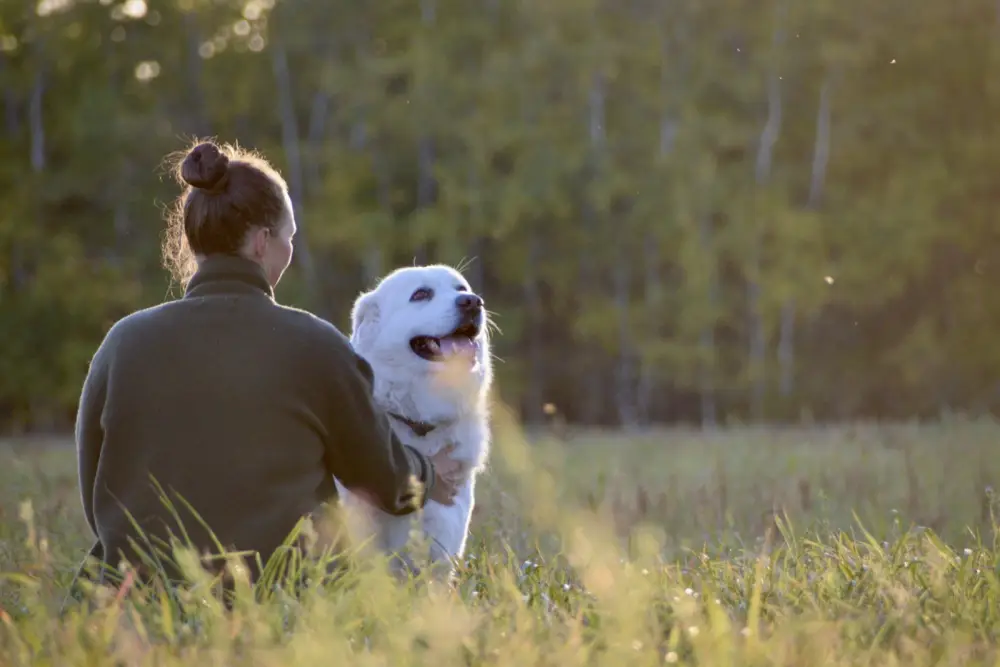 Woman and large white dog in a grassy field