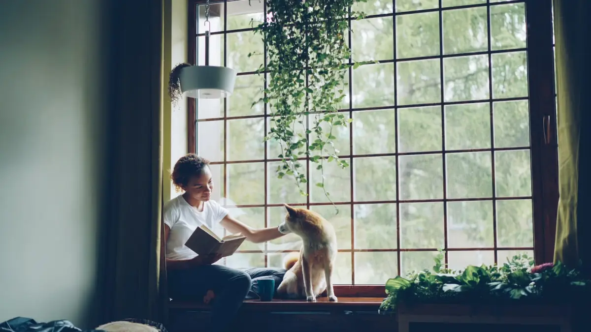 A woman reads with her dog by the window.
