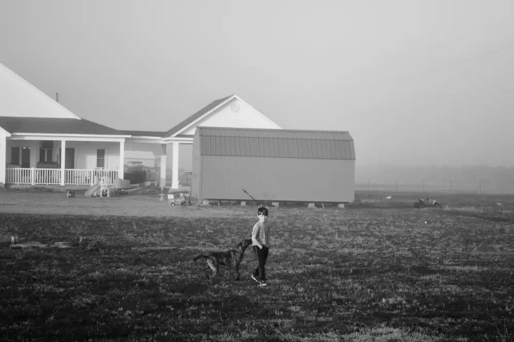Person walking a dog in a field