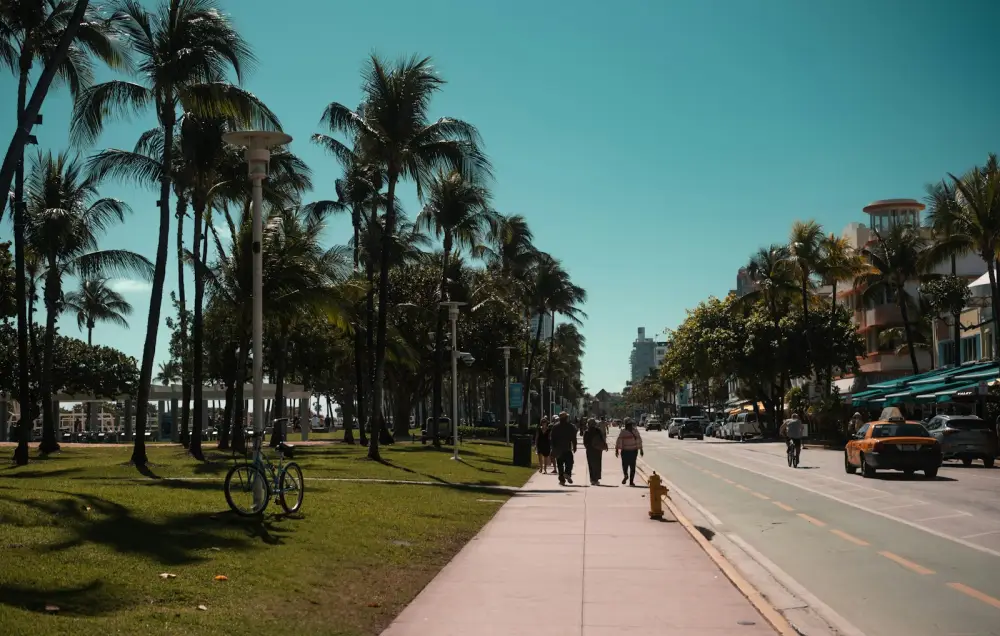 Palm trees line a sunny street on a bright day.