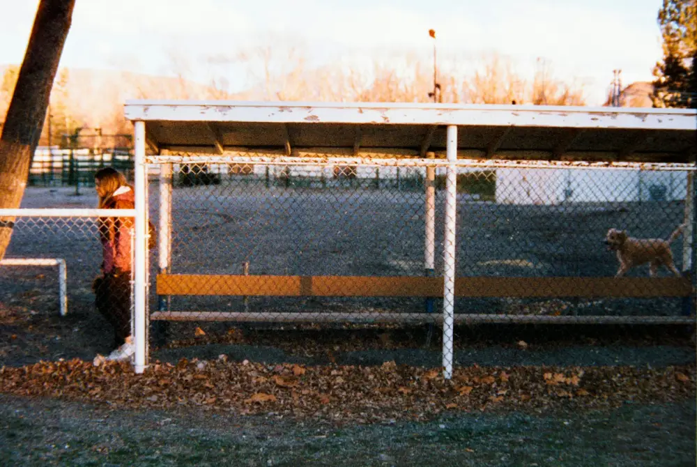 A person stands near a bus stop with a dog.
